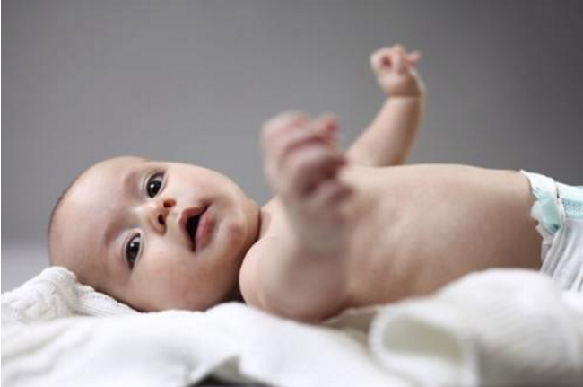 婴幼儿羊奶粉 婴幼儿羊奶粉