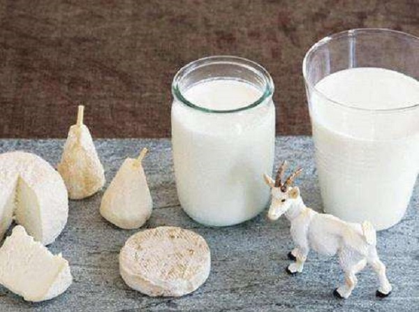 如何判断宝宝羊奶粉是不是变质的?