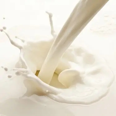 如何选择优质的羊奶粉?