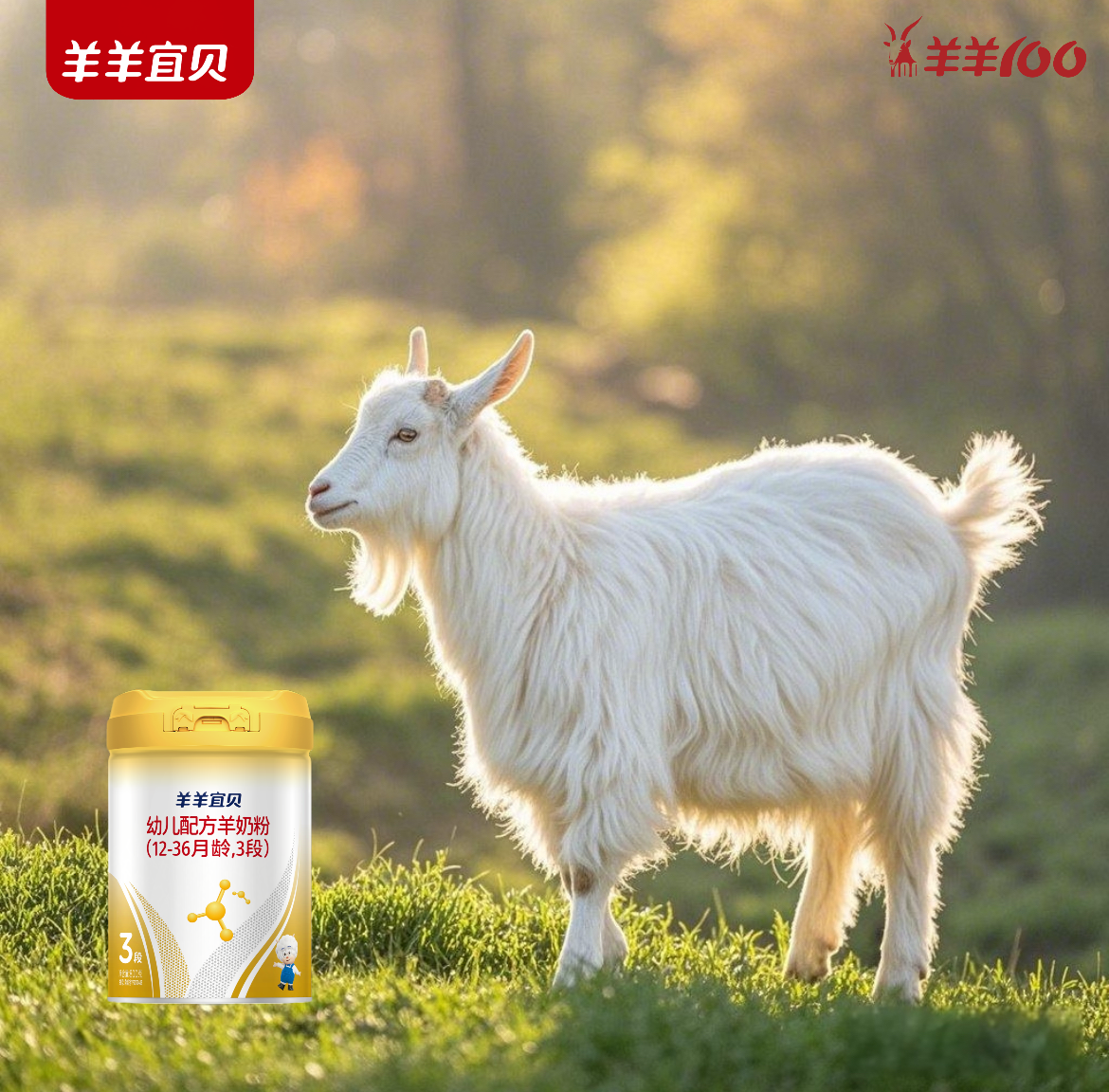 黄金纬度孕育 	至纯乳源——羊羊宜贝南纬38°的纯净密码