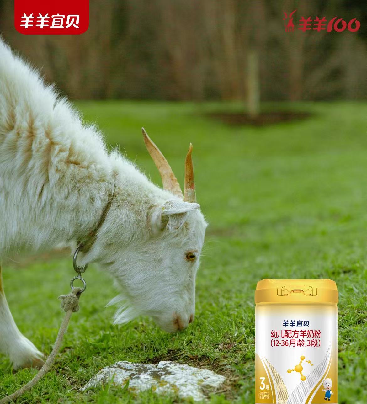 凝萃新西兰，羊羊宜贝奶源全息档案