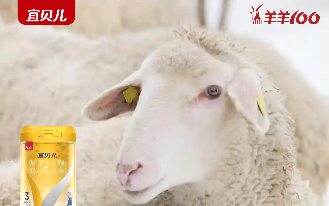 宜贝儿：新西兰怀卡托牧场的云脉乳源