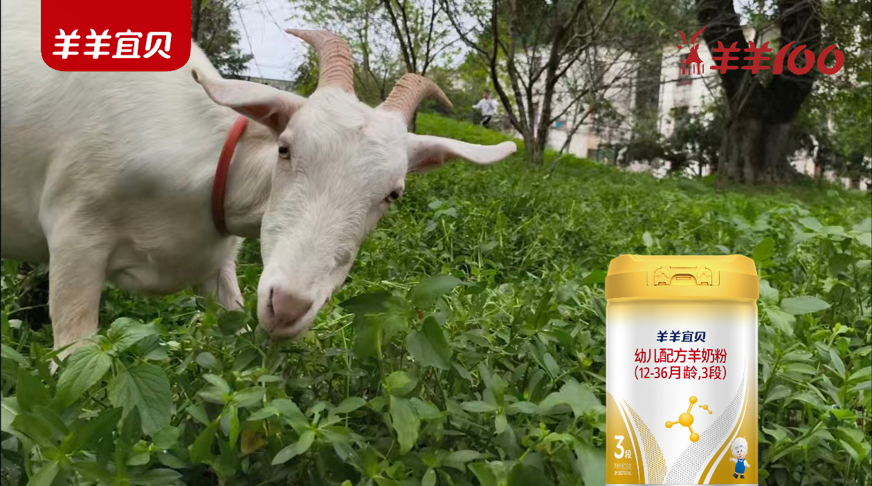 羊羊宜贝新西兰纯净奶源：秘境牧歌，乳自天境