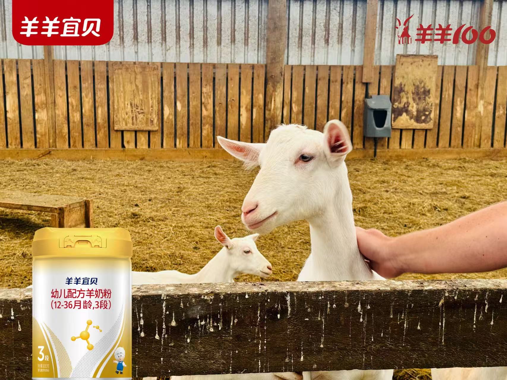 云涧谣：羊羊宜贝的新西兰奶源诗篇