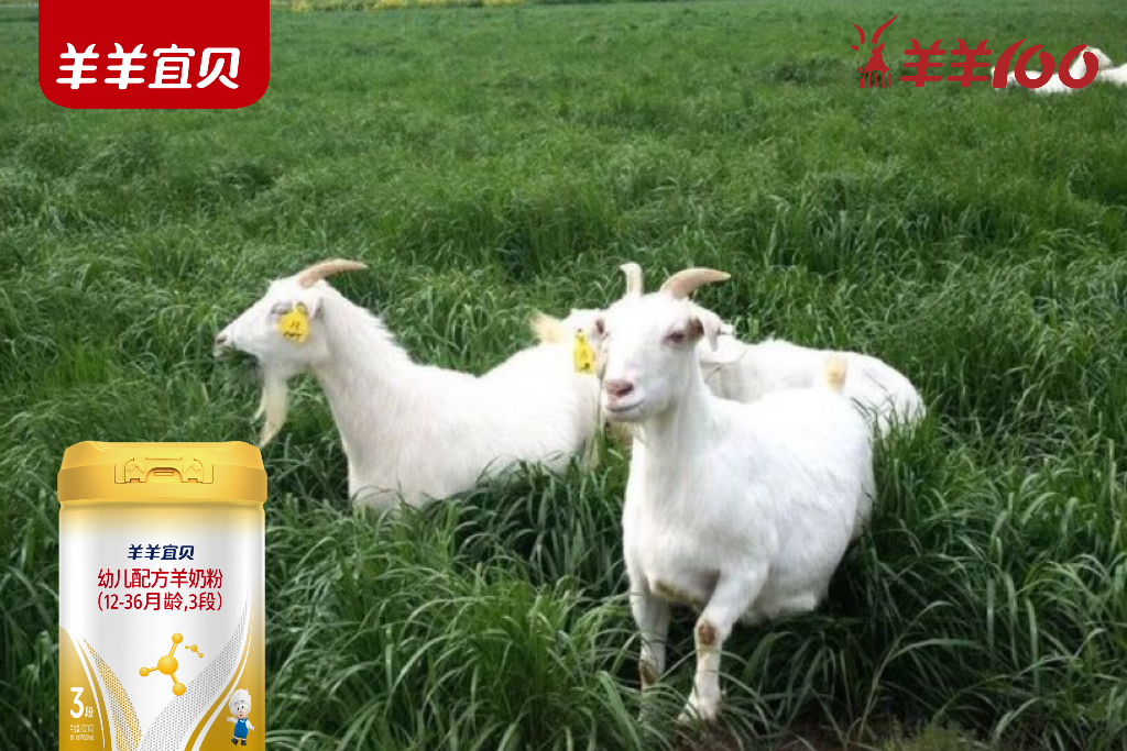 羊羊宜贝|新境凝露，源自新西兰纯净之源的黄金牧歌
