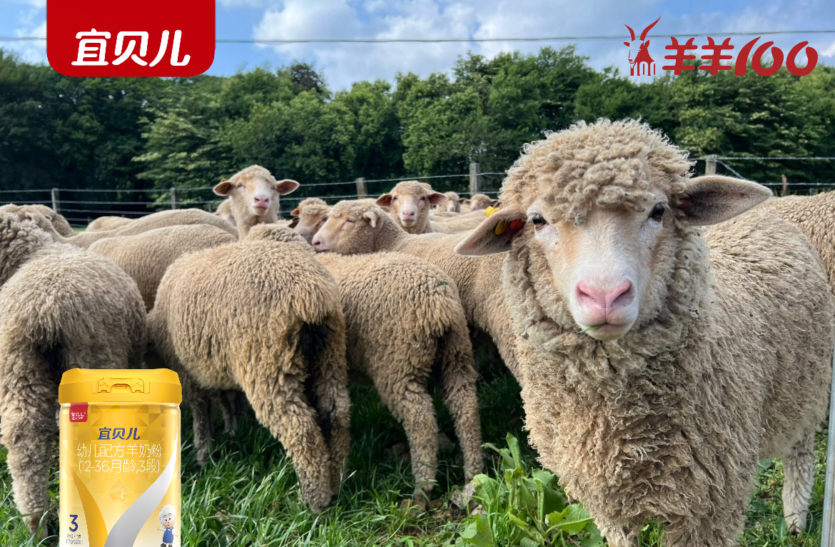 解锁怀卡托牧场，宜贝儿的新西兰纯净奶源之钥
