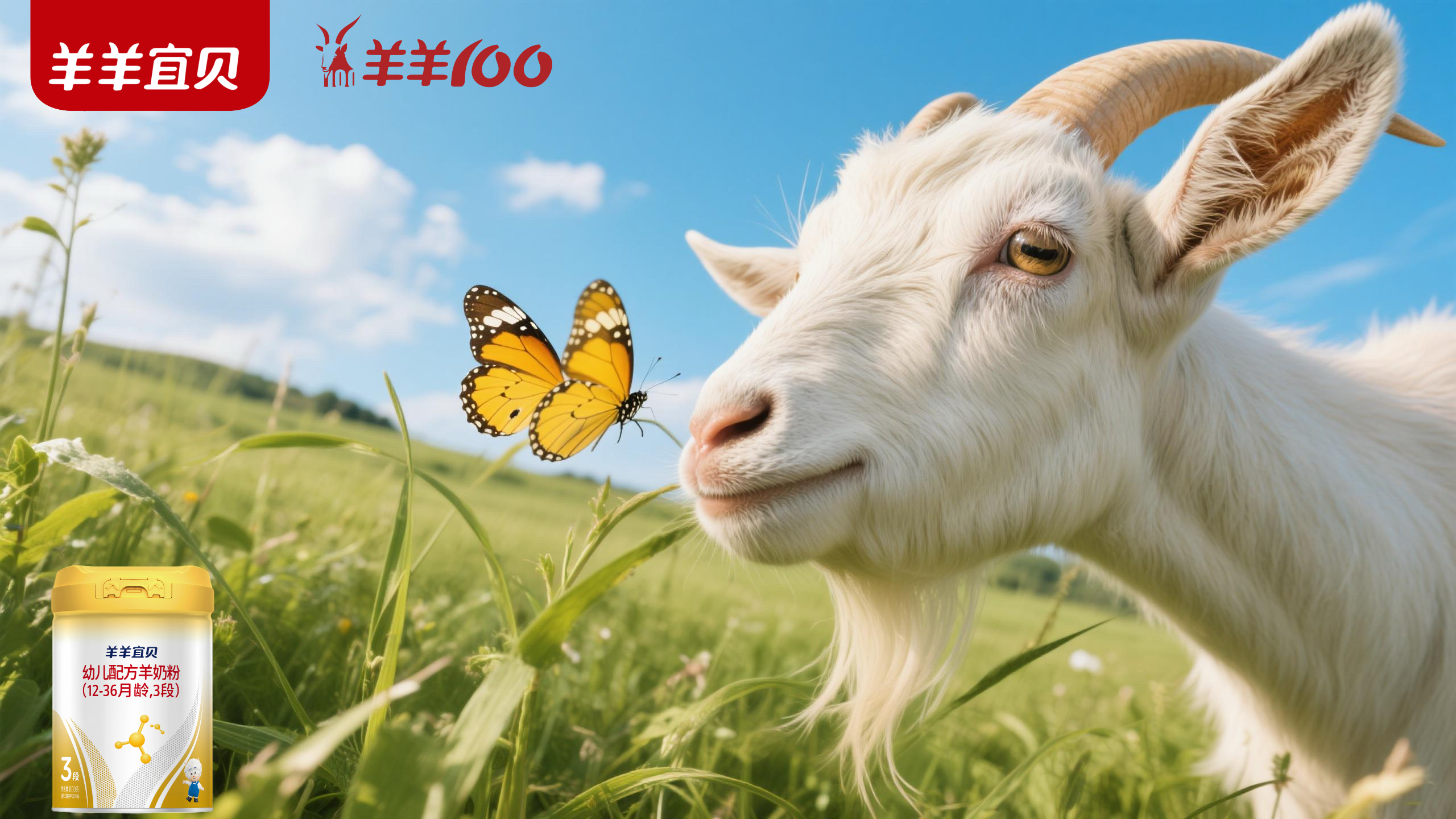 羊羊宜贝 | 从源头出发，探寻新西兰纯净奶源的奥秘