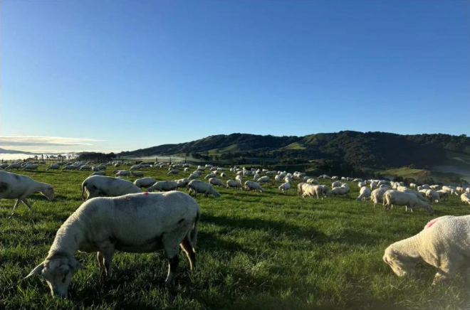 自然恩赐，牧歌悠扬